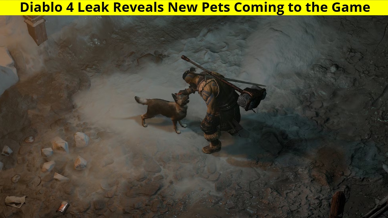 Diablo 4 Leak Reveals New Pets Coming to the Game